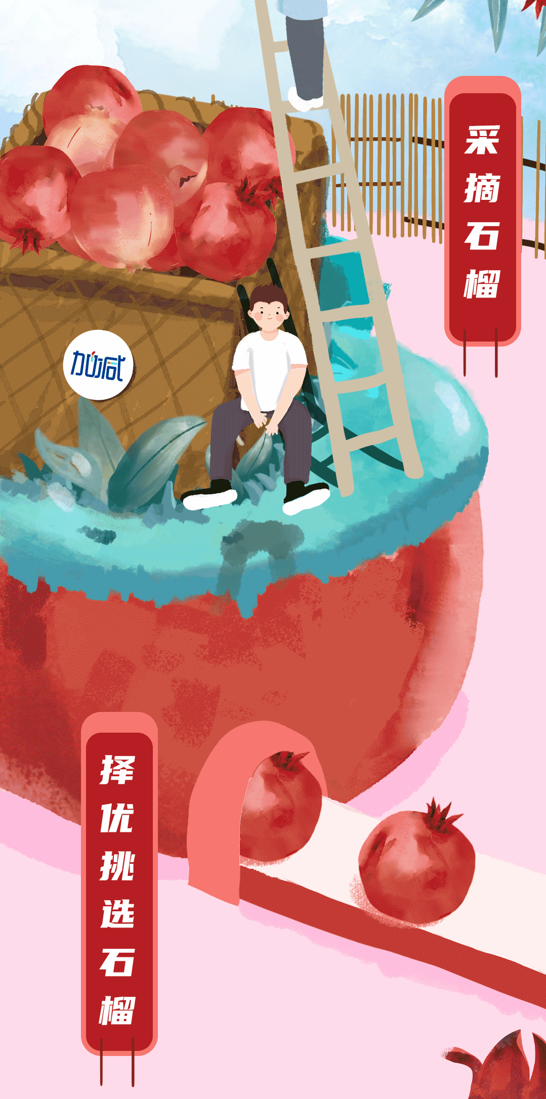 w66最给利的老牌茶饮石榴新品